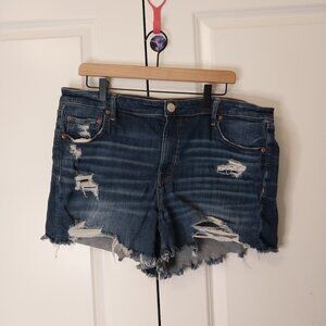 American Eagle Ripped Jean Shorts